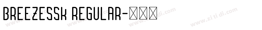 BreezeSSK Regular字体转换